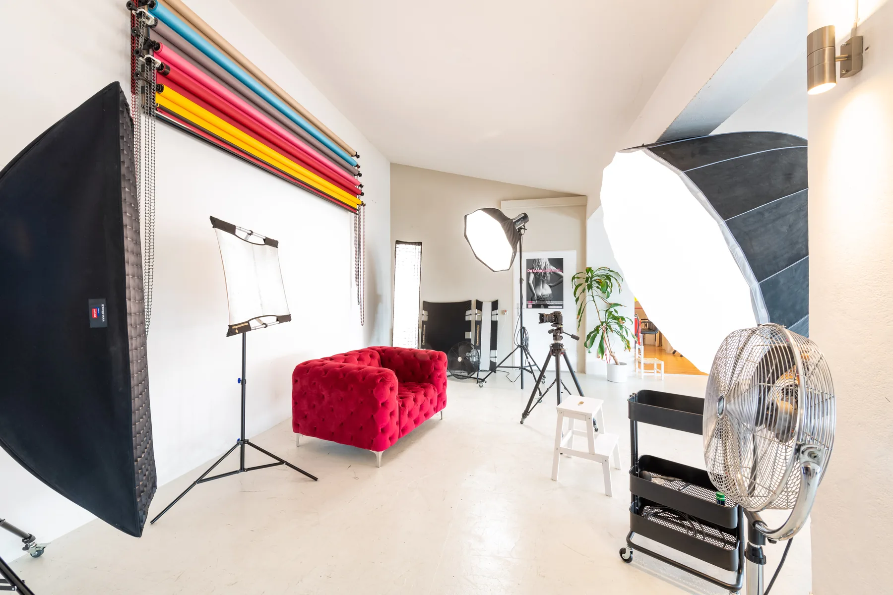 Blitzlicht und Softbox im Studio